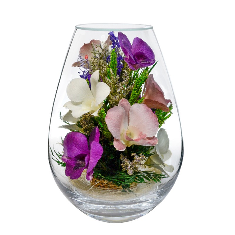 Доставка орхидей по россии. Орхидеи в стеклянных вазах. Орхидея в стеклянной вазе. Орхидея в колбе. Орхидея в стеклянной колбе.