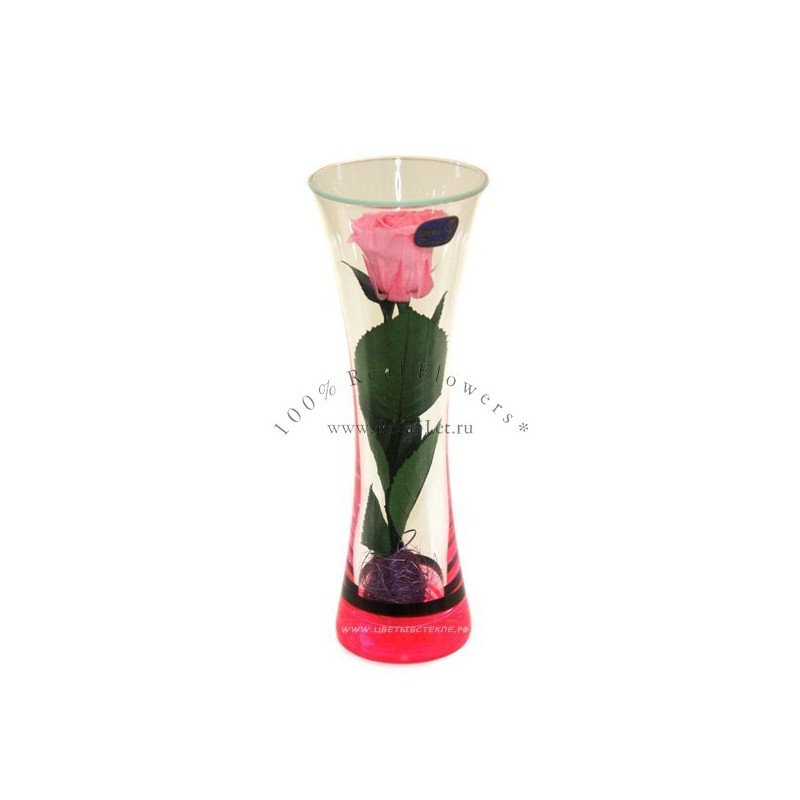 99_72 Натуральная Роза в вазе