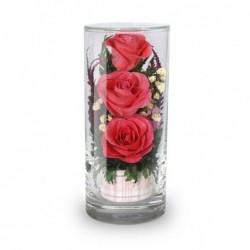 ярко-розовые розы в стекле